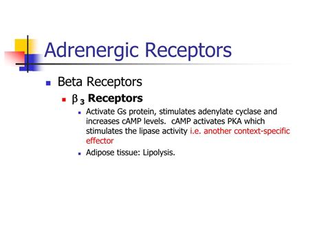 PPT SIGNAL TRANSDUCTION BY ADRENERGIC AND CHOLINERGIC RECEPTORS