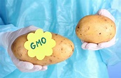 New genetically engineered potatoes approved by USDA • Earth.com