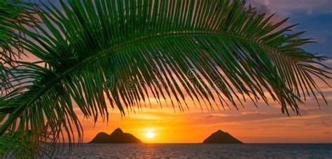 Gorgeous Lanikai Beach Sunrise Stock Image Image Of Stunning