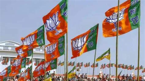 karnataka assembly elections bjp to finalise names of candidates during april 9 meet india