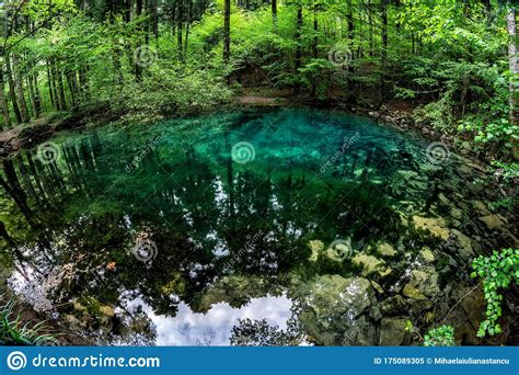 Beautiful And Famous Emerald Colored Lake Ochiul Beiului In The Woods
