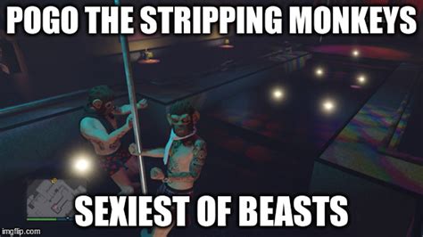 Image Tagged In Pogo The Stripping Monkey Gta Grand Theft Auto Imgflip