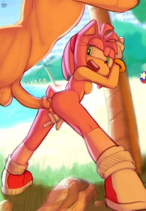 Post 2998990 Amyrose Bzeh Filthypally Sonicthehedgehogseries