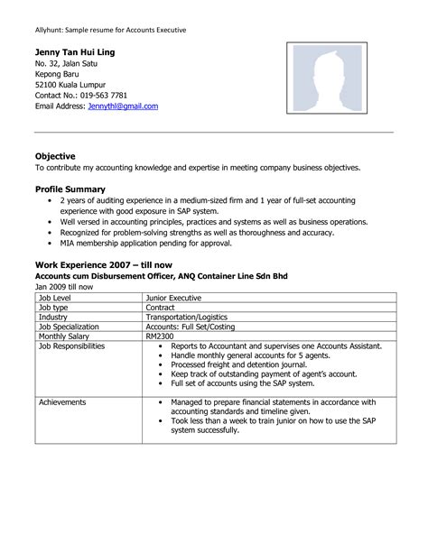 Account Executive Profile Resume - How to draft an account Executive Profile Resume? Download ...
