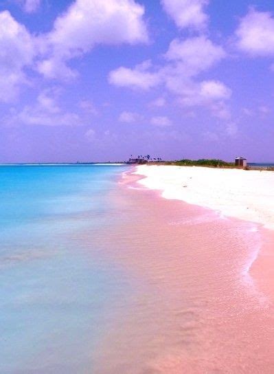 Barbuda Pink Sand Beach Caribbean Travel Pink Sand Beach Vacation