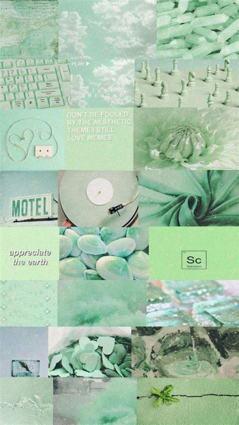 View 29 Cute Aesthetic Wallpapers Sage Green Dreams Of Women
