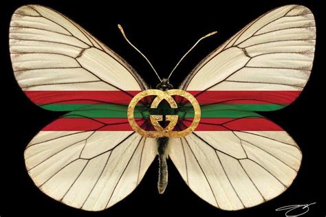 Fly As Gucci Canvas Print By Studio One Icanvas Fashion Wall Art