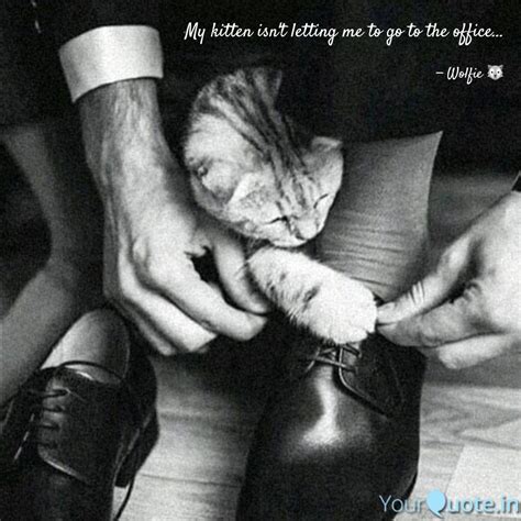 My Kitten Isnt Letting M Quotes And Writings By Sajjan Purush