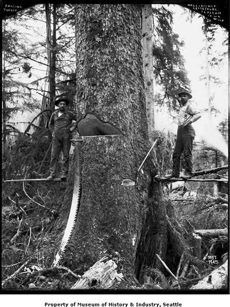 Photos Nw Logging Towns 127 Years On