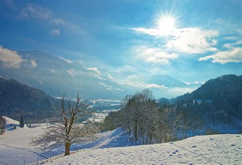 Panoramic View Of Beautiful Winter Landscape Stock Photo Image Of