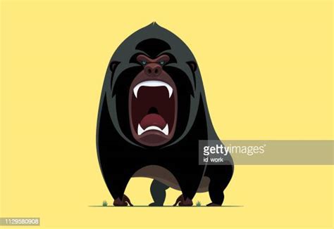 Gorilla Scream Photos And Premium High Res Pictures Getty Images