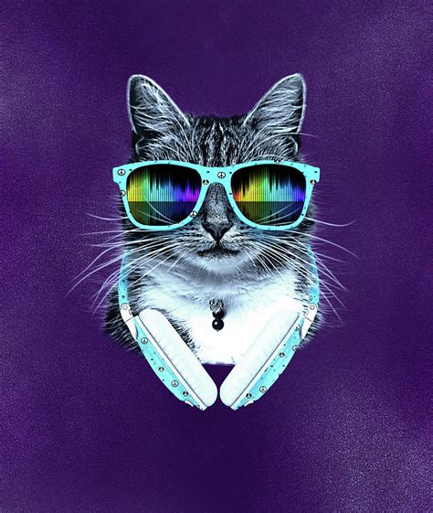 Cool Cat With Glasses And Headphones Digital Art By Julio Cesar Pixels