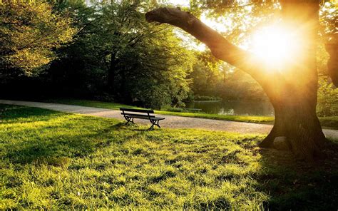 Park Bench Wallpapers Top Free Park Bench Backgrounds Wallpaperaccess