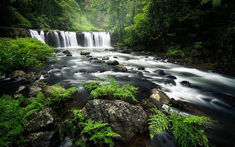 1920x1080px 1080p Free Download Waterfall Forest Green Trees