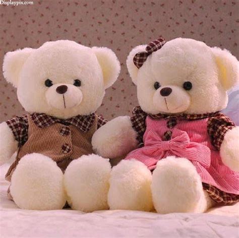 Sweet Cute Teddy Bear Girls Profile Pictures Dps Stylish Dps And