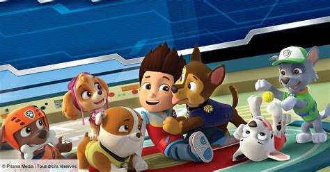 Épisodes Paw Patrol La Patpatrouille Télé Loisirs