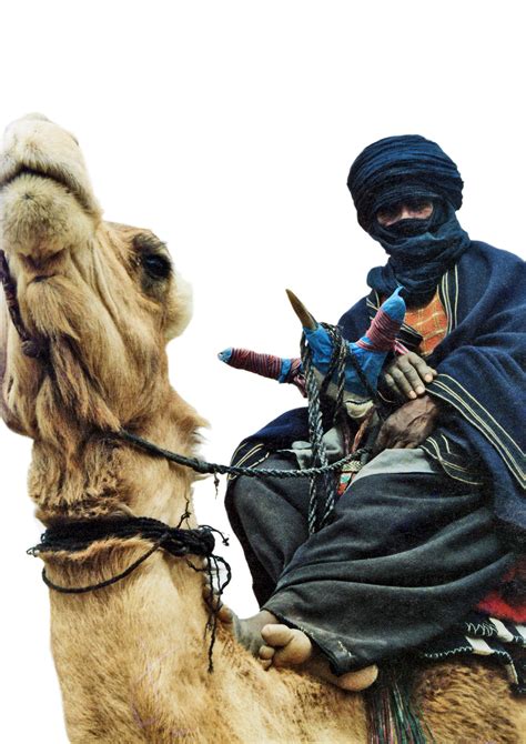 Gaddafi Volkswagen And The Tuareg Desert Camel Camels Tuareg People