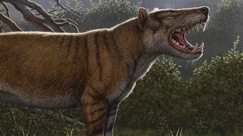 Largest Carnivorous Mammal Ever To Walk The Earth The Earth Images