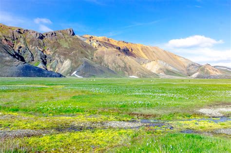 Dağlar Çayırlar Ve Su Nehrin Doğal Peyzaj İzlanda Landmannalaugar
