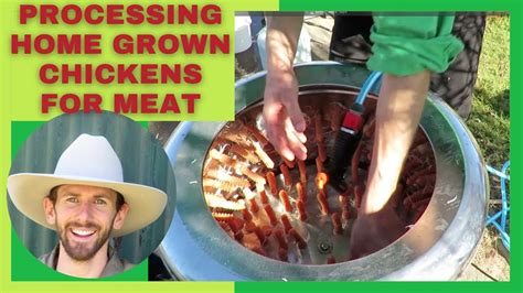 Processing Home Grown Chickens For Meat YouTube