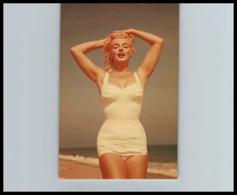 Rare S Sexy Marilyn Monroe Stylish Pose Stunning Portrait Postcard