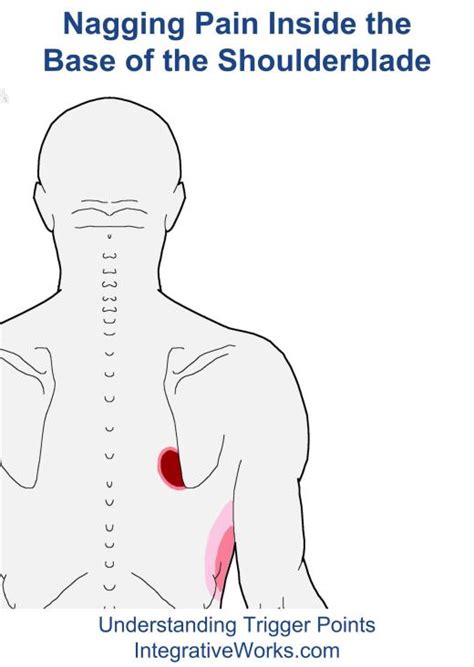 So when you go to the doctor with the intention to heal pain under right shoulder blade. shoulder blade | | Integrative Works