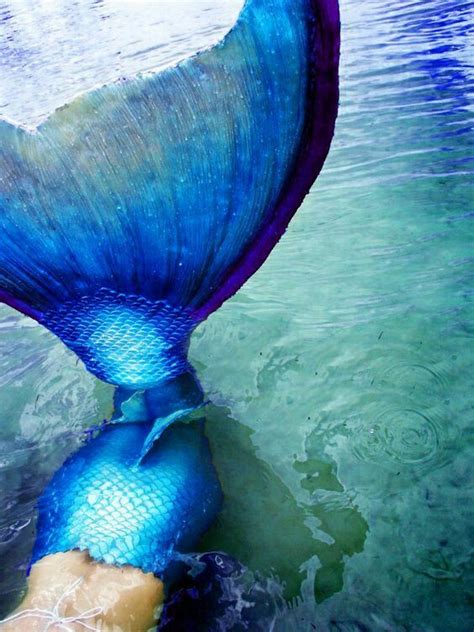 Pin By Cheryl W On Blue Blue Mermaid Tail Mermaid Mermaid Tale