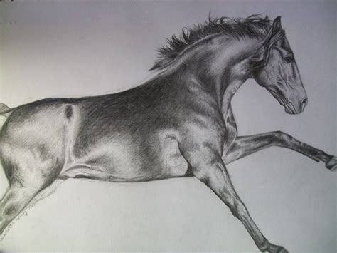 Running Horse Drawing Horse Drawing Pencil Sketch Colorful