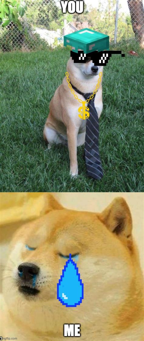 Image Tagged In Business Dogesad Doge Imgflip