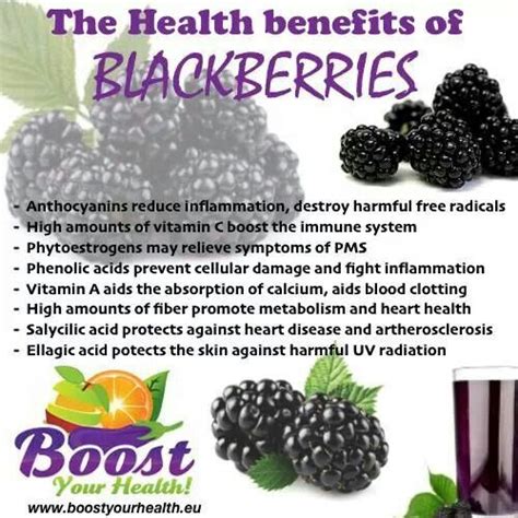 Sweet, succulent blackberries are summer delicacies in the northern. Health Benefits of Blackberries | Health, Wellness ...