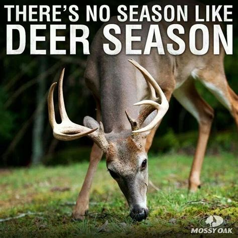 Bigger Holiday Than Christmas For Some Hunting Humor Deer Season