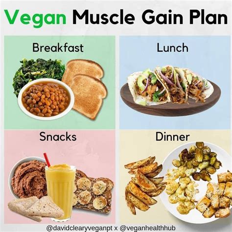 Muscle Food Plan Nutrition Vegan Meal Plans Vegan Meal Plan Weekly Workout Food
