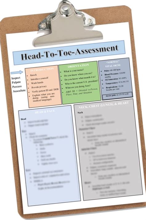 Head To Toe Assessment Guide Nursing Students Health Assessment
