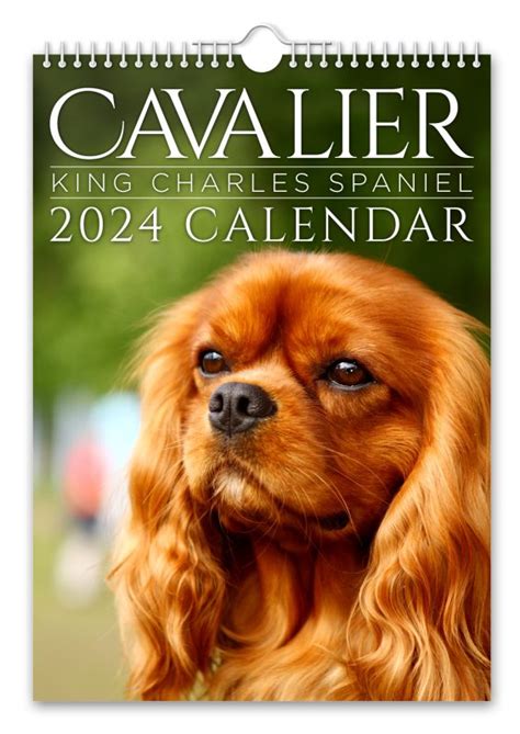 Cavalier King Charles Spaniel 2024 Wall Calendar The Calendar King