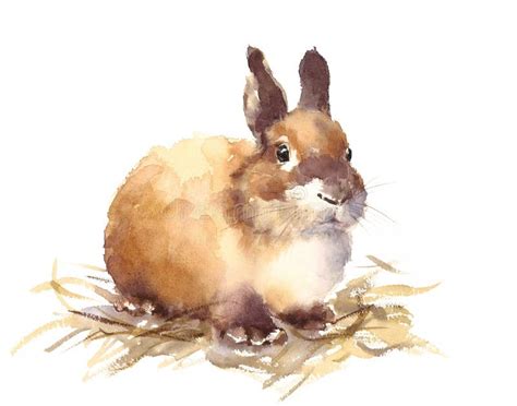 Cute Baby Bunny Watercolor Animals Illustration Hand Drawn Stock