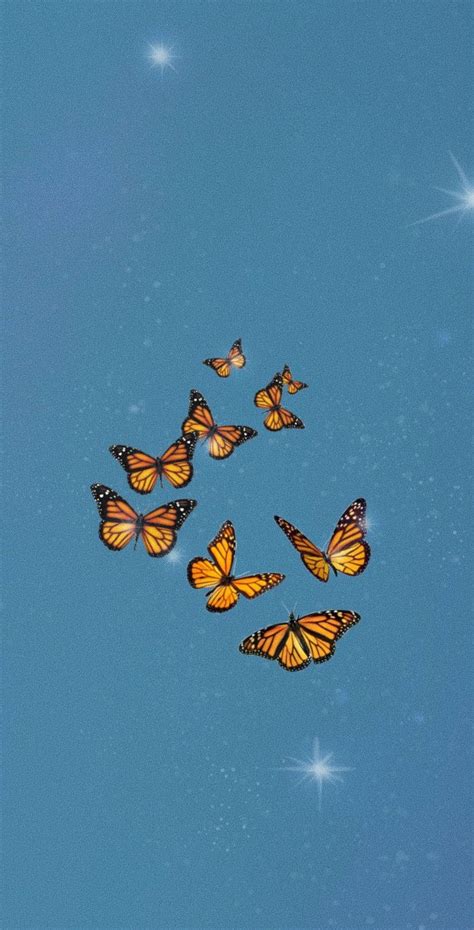 400 Butterfly Aesthetic Wallpapers