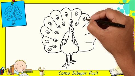 Como Dibujar Un Pavo Real Facil Paso A Paso Para Niños Y Principiantes