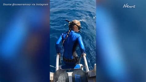 Ocean Ramseys Close Encounter With Shark Goes Viral Herald Sun