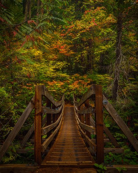 Bridge To Fall Photo Of The Day September 19th 2020 Fstoppers