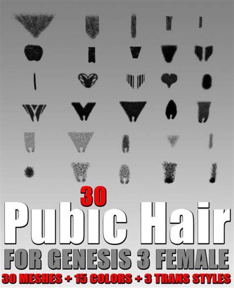 30 Pubic Hair For G3 Females Hair For Poser And Daz Studio