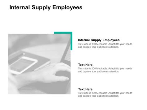 Internal Supply Employees Ppt Powerpoint Presentation Infographics