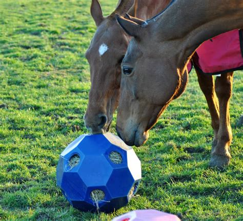 Feed: Hay Play Horse Feed Toy Burlingham Sports