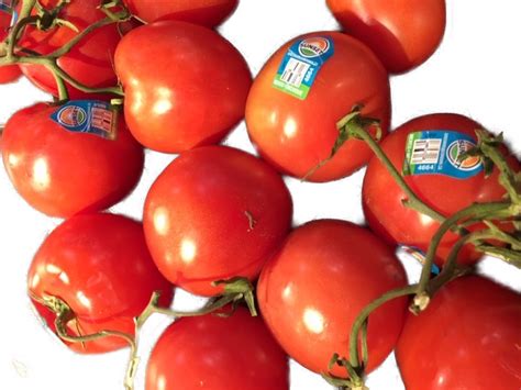 Tomatoes Campari On The Vine 16 Oz Af Req 11110916877kp 774