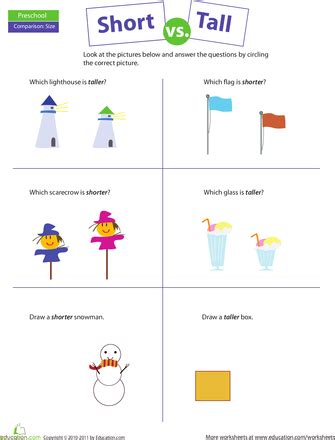 worksheets comparing short  tall  preschool worksheets