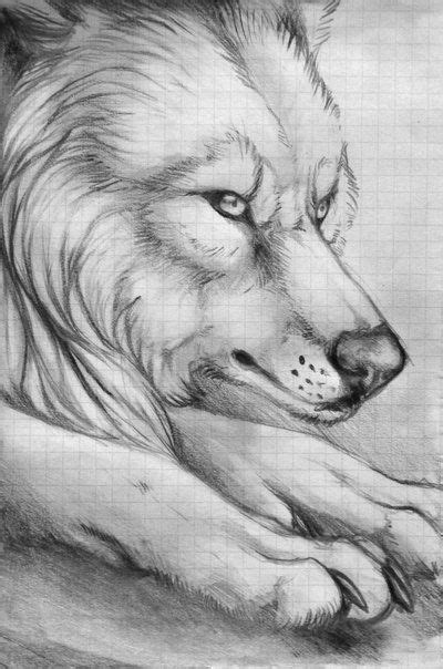 Wolf Within Image By Katie Watson Sketches Quick Sketch Drawings