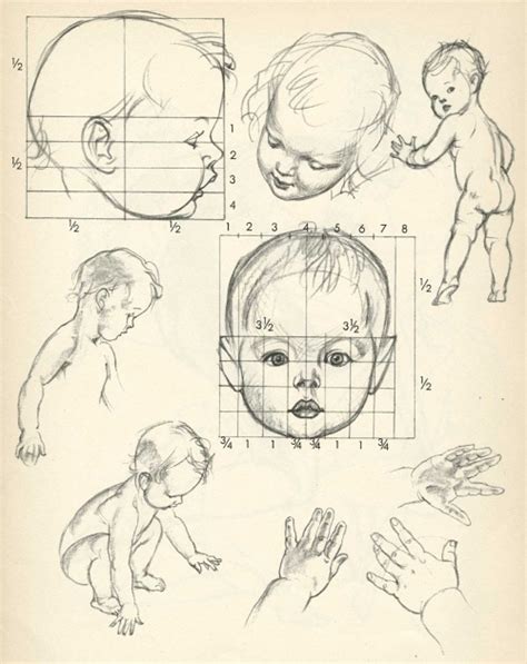 Proportions Of Children Infant And Baby Heads Reference Sheets How