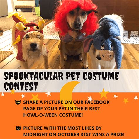 Its Time For The Spooktacular Pet Costume Contest Marshall County Veterinary Clinic