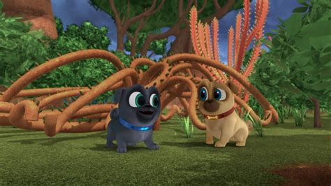 Learn the social and physical skills he'll develop. Lemur Play | Puppy dog pals Wiki | Fandom