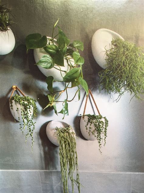 Wall planter bathroom | Wall planter, Planters, Planter pots