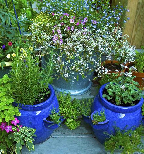 Easy Tips For Growing Herbs In Containers